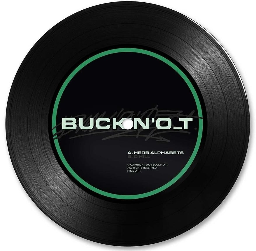 Image of BUCK 'N' OT - HERB ALPHABETS/D_HILL 7" VINYL RECORD