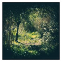 Image 1 of Fabio Orsi - Lost Tracks Vol.1 CDr