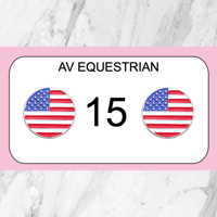 USA Flag Pins
