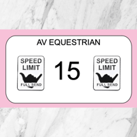 Speed Limit Pins