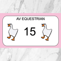 "Cool Goose" Pins