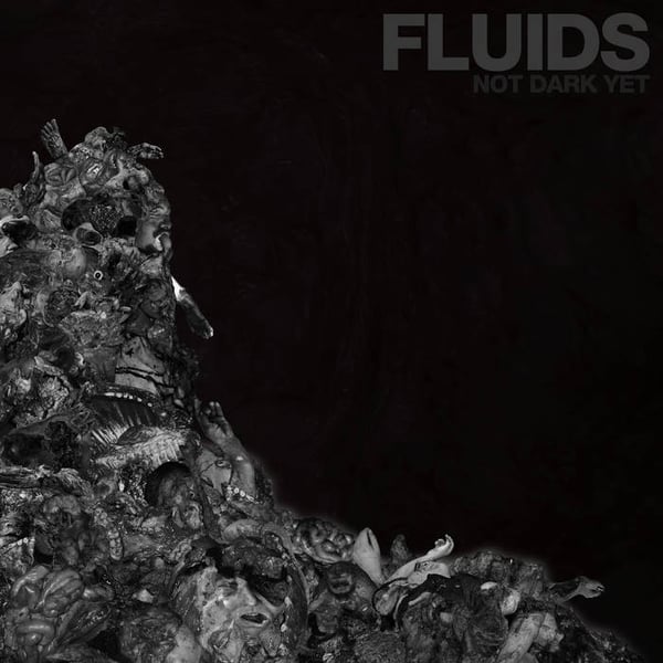 Image of FLUIDS - Not Dark Yet CD