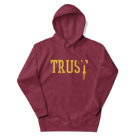 Image 1 of TRUTH…. (Maroon hoodie)