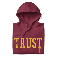 Image 2 of TRUTH…. (Maroon hoodie)