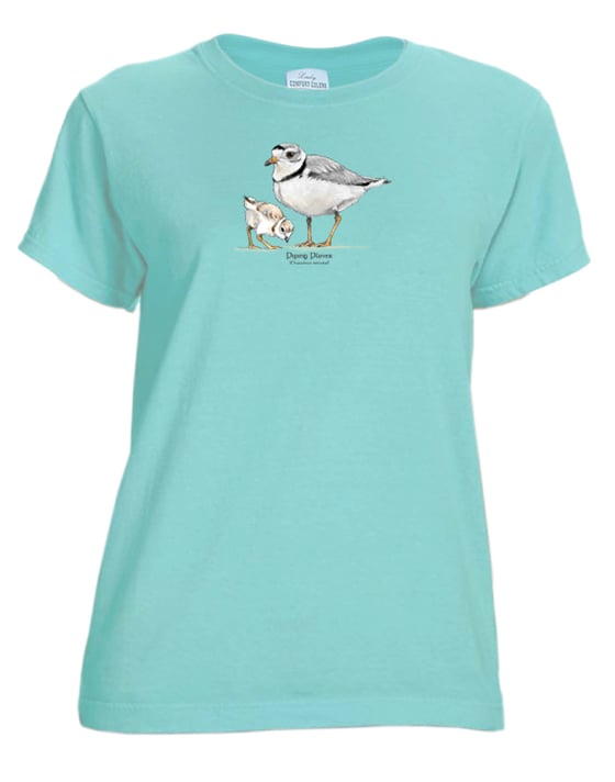 Image of Piping Plover ladies t-shirt