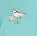 Image of Piping Plover ladies t-shirt
