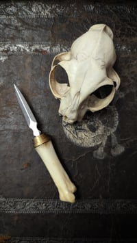 Image 1 of Wild Boar bone Pocket Knife