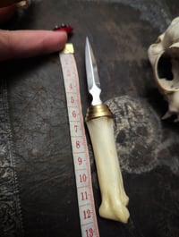 Image 5 of Wild Boar bone Pocket Knife