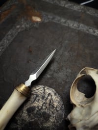 Image 3 of Wild Boar bone Pocket Knife