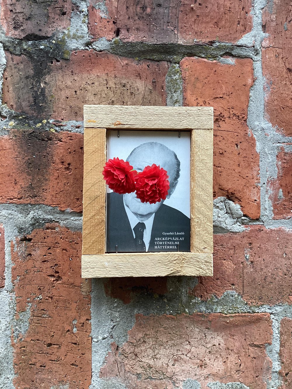 Image of Marko RODICS: Művirág Szemű Kádár 3/1, IMM 1984