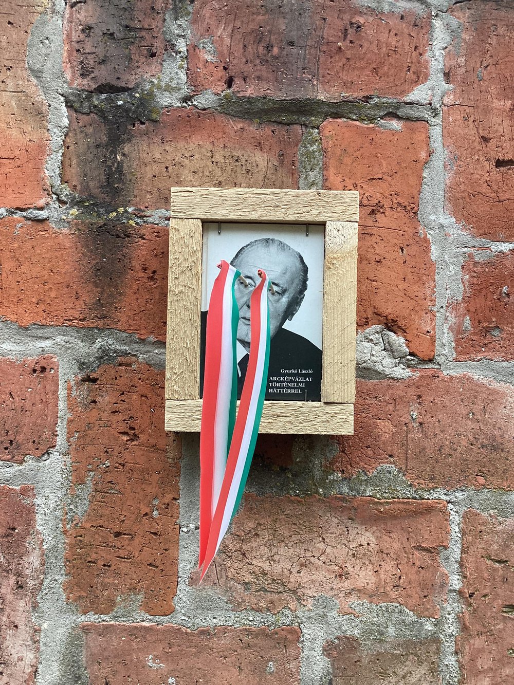 Image of Marko RODICS: Zászló Szemű Kádár 5/1, IMM 1989