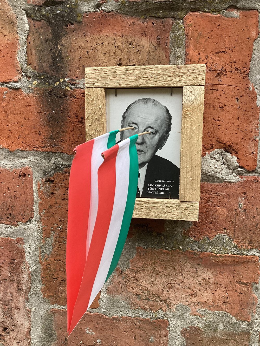 Image of Marko RODICS: Zászló Szemű Kádár 5/1, IMM 1989