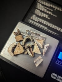 Image 5 of Bone chips & Pieces (by gram/pack)