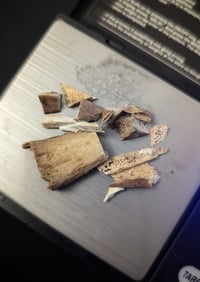 Image 2 of Bone chips & Pieces (by gram/pack)