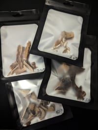 Image 1 of Bone chips & Pieces (by gram/pack)