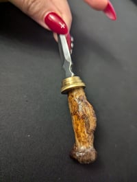 Image 5 of Radivs bone Pocket Knife