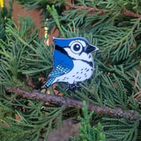 Image 3 of Azulejito/Blue Jay Enamel Pin