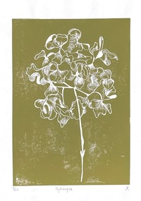 Image 1 of Large Green Hydrangea 
