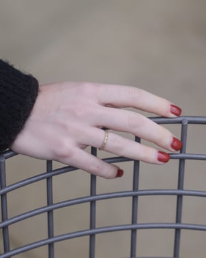 Image of 18ct Yellow gold 2.5mm 'Primavera' ring