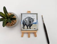 Bison