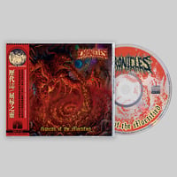 Image 1 of CHRONICLES - Spirits of the Mortified [CD]