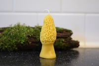 Morel Mushroom Candle