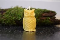 Owl Candle