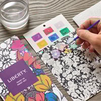 Image 2 of Liberty Paint In Card Set 
