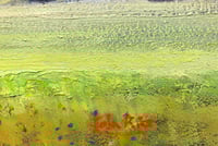 Image 3 of Morning On The Dunnville Loop