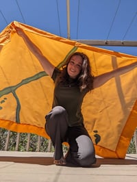 Image 2 of ASLD Flagpole Project