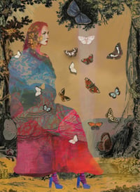 Image 1 of Lady Butterfly