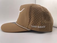 Image 3 of LR Longhorn Logo