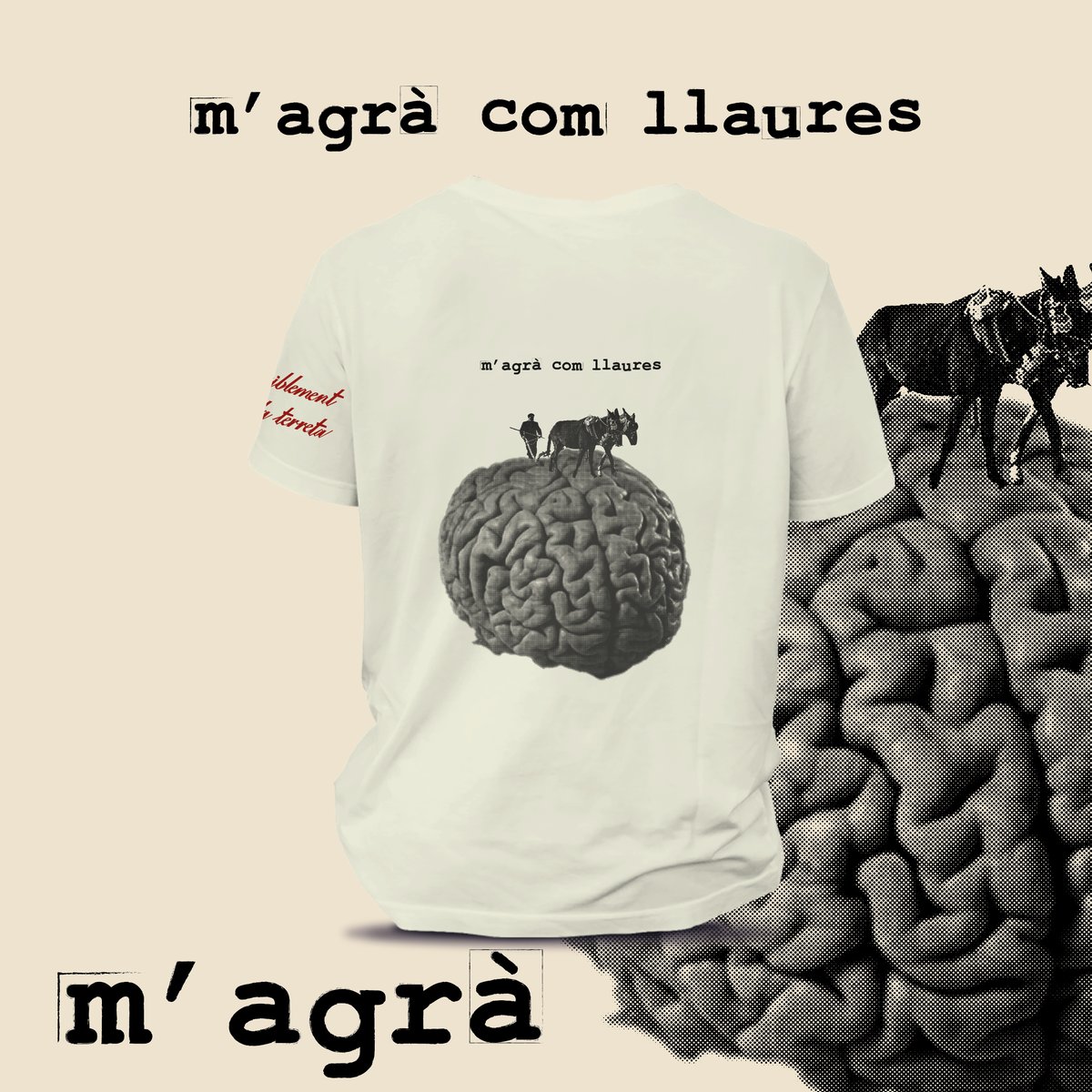 Image of M'agrà com llaures