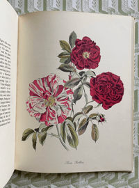 Image 3 of English Garden Flowers John Nash