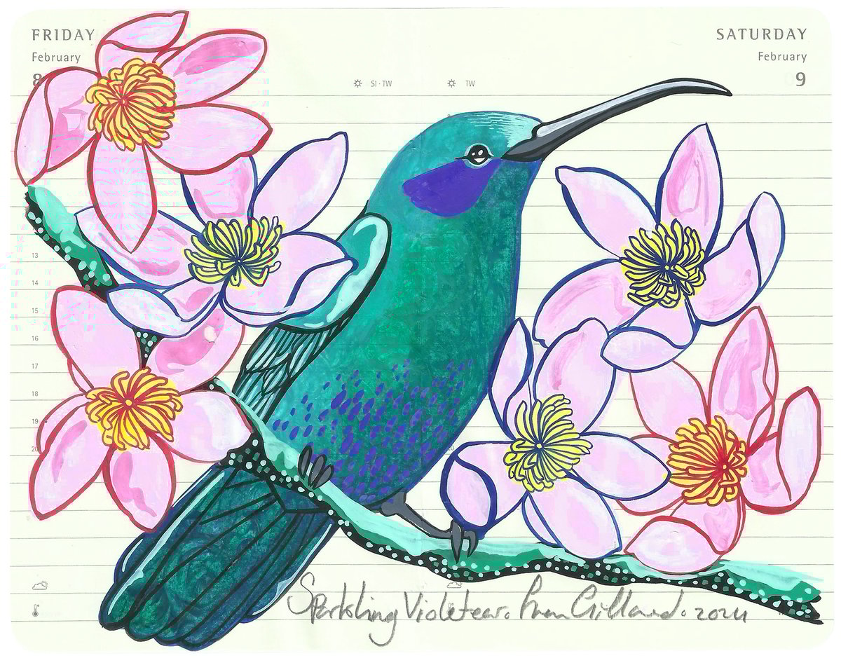Image of Sparkling Violetear