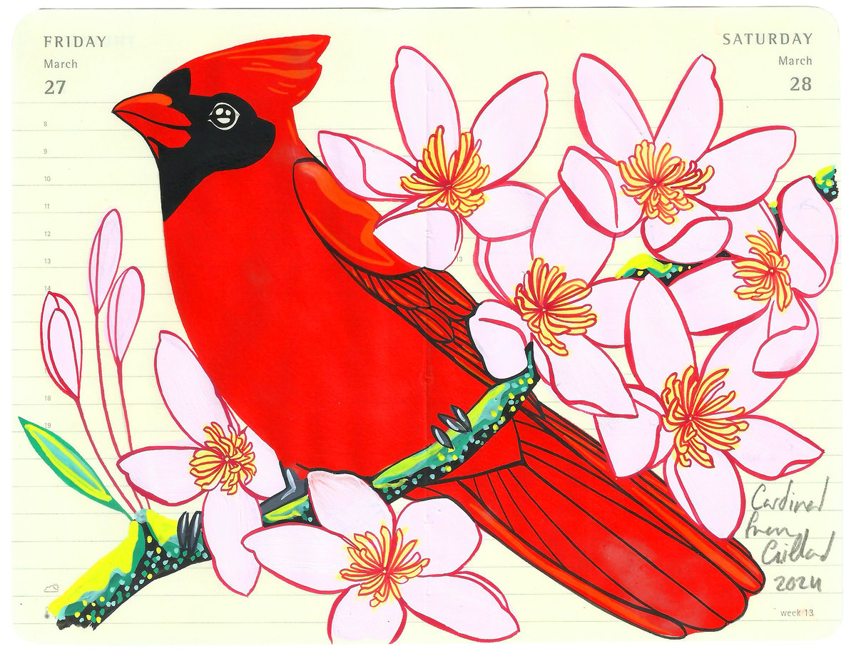 Image of Cardinal