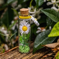 Image 1 of Daisy - Message in a Bottle