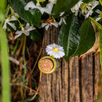 Image 2 of Daisy - Message in a Bottle
