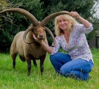 Image 4 of Manx Loaghtan Aran - 100g skein with free pattern