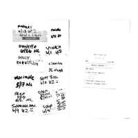 Image 2 of ZINE - "FRUITS OF MY LABOR"