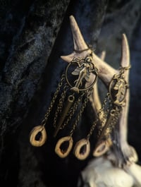 Image 2 of Queen of the Night : real bone slices