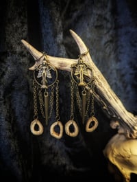 Image 5 of Queen of the Night : real bone slices