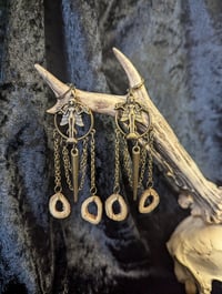 Image 1 of Queen of the Night : real bone slices