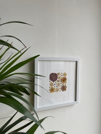 Image 1 of Pressed flower frame "Sunset" 
