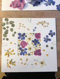 Image 3 of Pressed flower frame "Summer" 