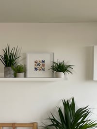 Image 2 of Pressed flower frame "Wild flower meadow" 