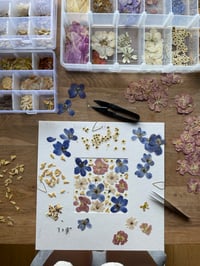 Image 4 of Pressed flower frame "Wild flower meadow" 