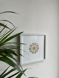 Image 1 of Pressed flower frame "Mandala" 