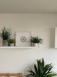 Image 2 of Pressed flower frame "Mandala" 