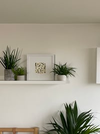 Image 2 of Pressed flower frame "Spring" 